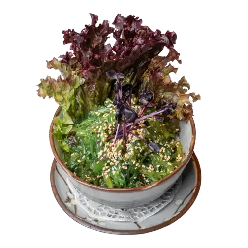 24 GOMA WAKAME